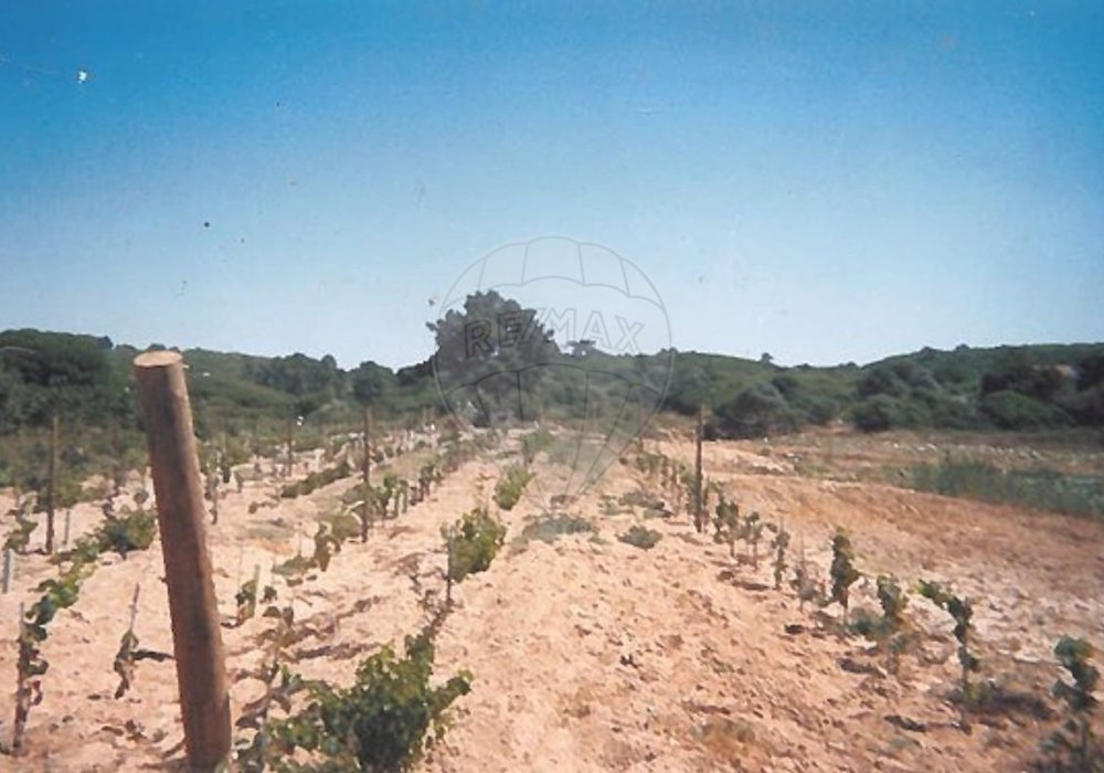 6d256955-e8d5-455e-b59e-0eb156e65d3e